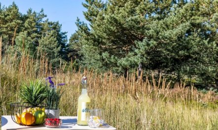 'Dagny' - 520m from the sea 3