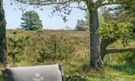 'Hrefna' - 350m from the sea 7