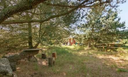 'Hrefna' - 350m from the sea 5