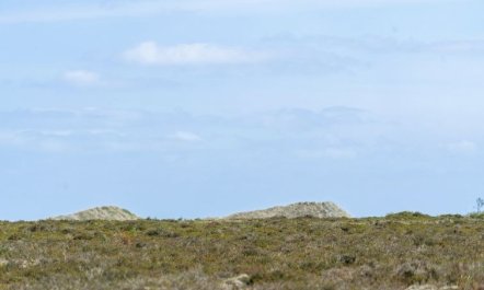 'Hrefna' - 350m from the sea 1