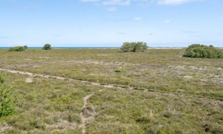 'Hrefna' - 350m from the sea 4