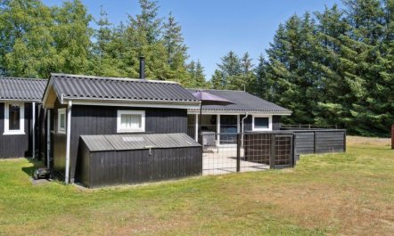 'Ally' - 250m from the sea 2