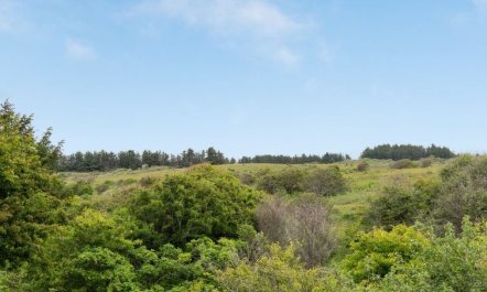 'Sorja' - 420m from the sea 5