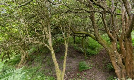 'Sorja' - 420m from the sea 3