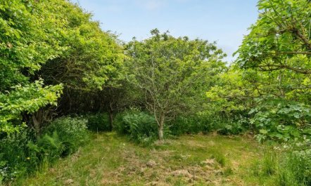 'Sorja' - 420m from the sea 2