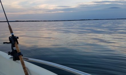 'Grep' - 800m from the sea 2