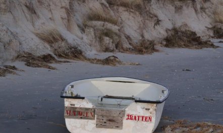 'Grep' - 800m from the sea 4