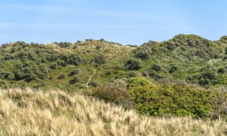 'Randulf' - 450m from the sea 3