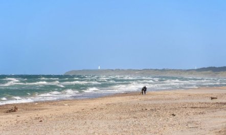 'Randulf' - 450m from the sea 2