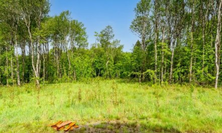 'Vilppu' - 900m from the sea 1