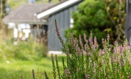 'Grimi' - 4km from the sea 4