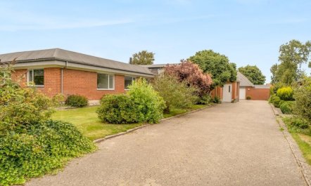 'Elaine' - 350m from the sea 4