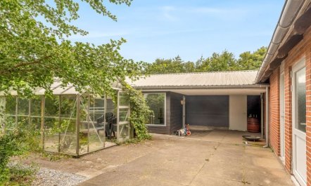 'Elaine' - 350m from the sea 2