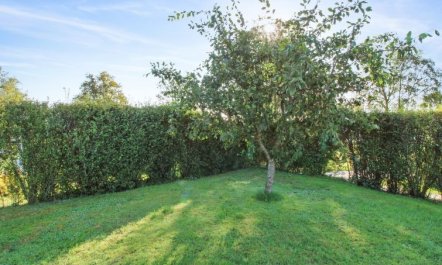 'Simjanka' - 600m from the sea 1