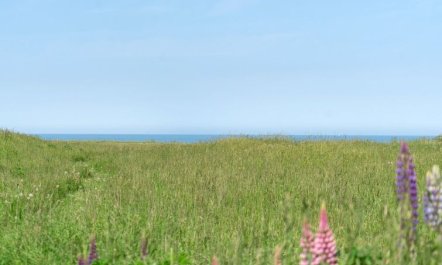 'Ananda' - 245m from the sea 2