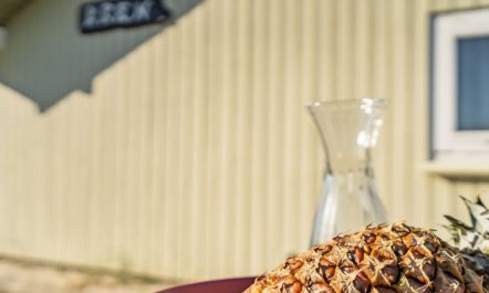 'Matias' - 150m from the sea 4