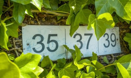 'Didrik' - 2km from the sea 4