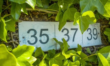 'Sibyll' - 2km from the sea 4