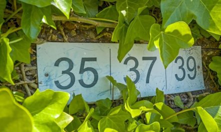 'Økil' - 2km from the sea 4