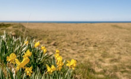 'Hedy' - 150m from the sea 4