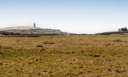 'Hedy' - 150m from the sea 3