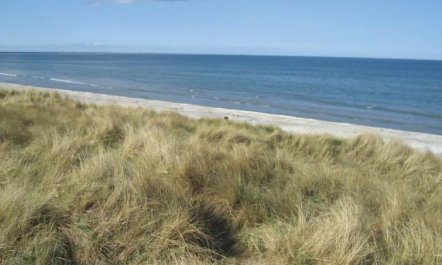 'Frithbjorn' - 900m from the sea 6