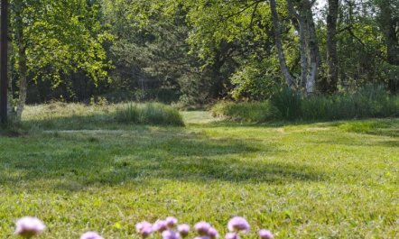 'Irlin' - 600m from the sea 6