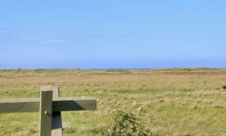 'Annick' - 300m from the sea 4