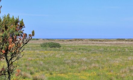 'Annick' - 300m from the sea 3