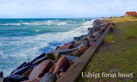 'Ingwald' - 50m from the sea 4