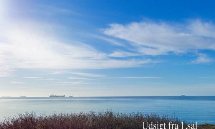 'Ingwald' - 50m from the sea 1