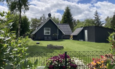 'Adisl' - 600m to the fjord 3