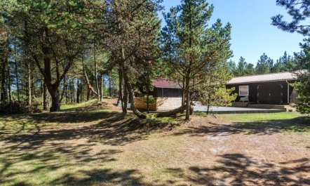 'Gorm' - 300m from the sea 3