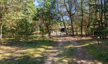 'Gorm' - 300m from the sea 2