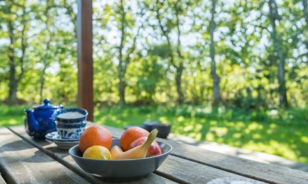 'Floriane' - 700m from the sea 5