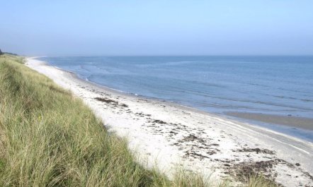 'Jonce' - 400m from the sea 1