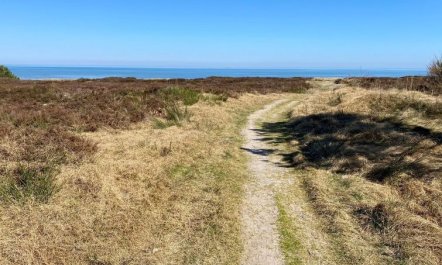 'Ilenia' - 150m from the sea 4