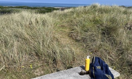 'Eelin' - 275m from the sea 5