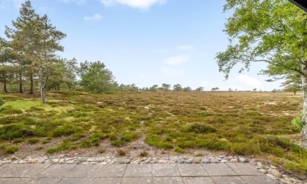 'Eliza' - 600m from the sea 4