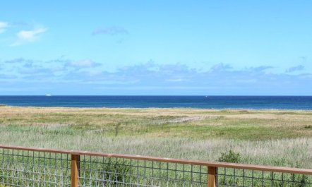 'Marlena' - 150m from the sea 5