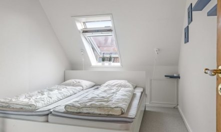 'Minte' - 450m from the sea 6