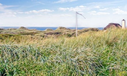 'Hoat' - 300m from the sea 3