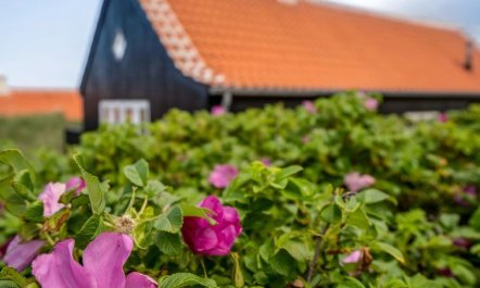 'Armina' - 75m from the sea 6