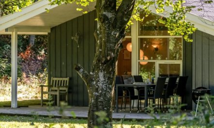 'Ninetta' - 650m from the sea 5