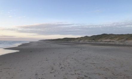 'Finna' - 1km from the sea 5