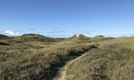 'Finna' - 1km from the sea 3