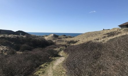 'Finna' - 1km from the sea 2