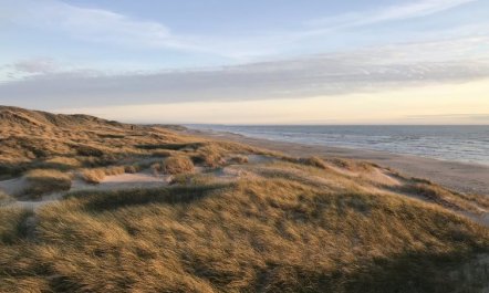 'Finna' - 1km from the sea 1