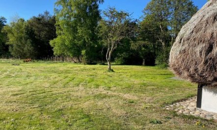 'Annabeth' - 900m from the sea 5