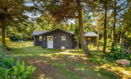 'Jenvold' - 1.5km from the sea 2